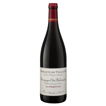 Domaine de Villaine Bourgogne "La Fortune" Rouge 2014