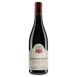 Geantet-Pansiot Chambolle-Musigny 1er Cru "Les Feusselottes" 2017