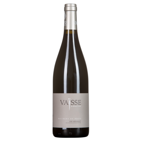 Pierre Vaïsse - Coteaux du Languedoc - Galibou du Russe 2011