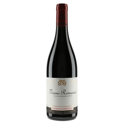 Domaine Georges Noëllat Vosne-Romanée 2020