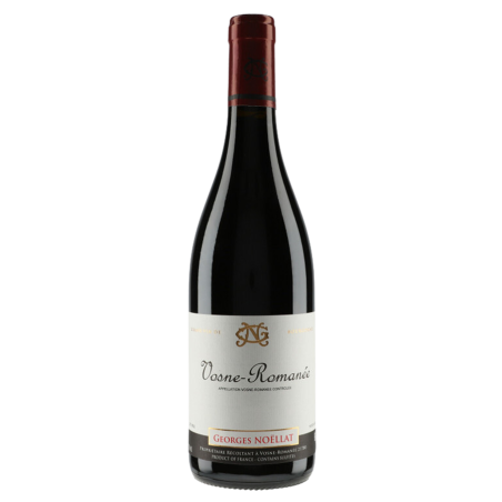 Domaine Georges Noëllat Vosne-Romanée 2020