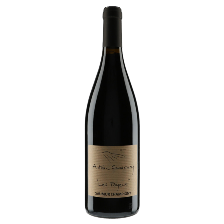 Domaine Antoine Sanzay Saumur-Champigny "Les Poyeux" 2011