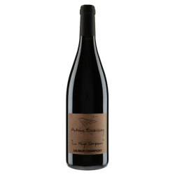 Antoine Sanzay Saumur-Champigny "La Haye Dampierre" 2014