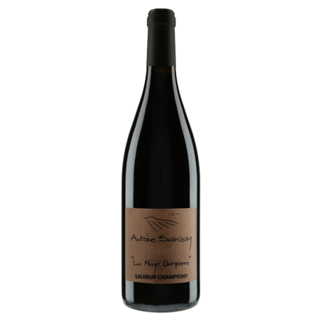 Antoine Sanzay Saumur-Champigny "La Haye Dampierre" 2014