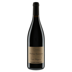 Domaine Antoine Sanzay Saumur-Champigny "Les Poyeux" 2013