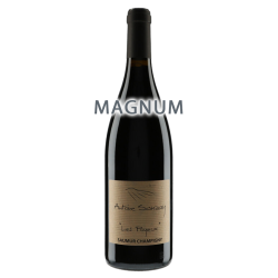 Antoine Sanzay Saumur-Champigny "Les Poyeux" 2013 MAGNUM