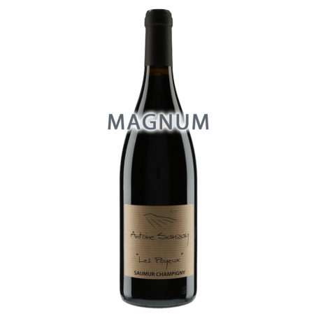 Antoine Sanzay Saumur-Champigny "Les Poyeux" 2013 MAGNUM