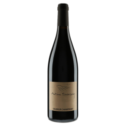 Domaine Antoine Sanzay Saumur-Champigny 2016