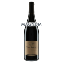 Antoine Sanzay Saumur-Champigny 2018 Magnum