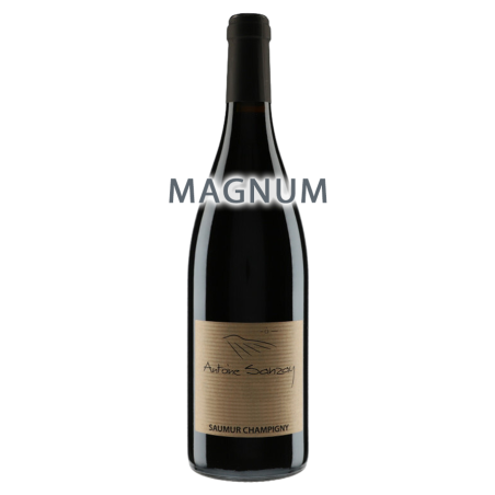 Antoine Sanzay Saumur-Champigny 2018 Magnum