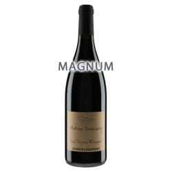 Antoine Sanzay Saumur-Champigny Les Terres Rouges 2019 Magnum