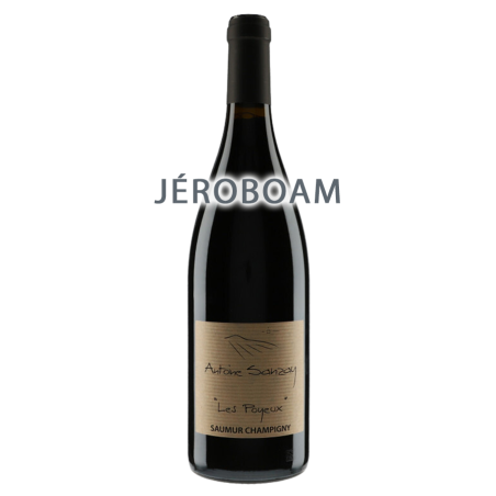 Antoine Sanzay Saumur-Champigny Les Poyeux 2020 Jeroboam