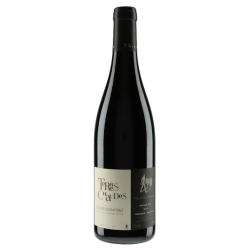 Thierry Germain - Domaine des Roches Neuves Terres Chaudes 2019