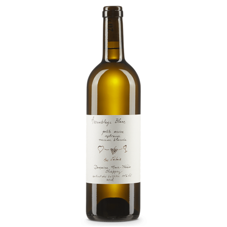 Marie-Thérèse Chappaz Assemblage Blanc 2021