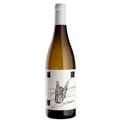 Domaine Christophe Peyrus Blanc 2019