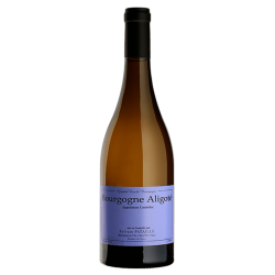 Domaine Sylvain Pataille Bourgogne Aligoté 2015