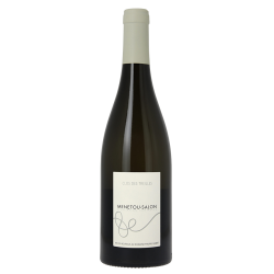 Domaine Philippe Gilbert Menetou-Salon Blanc "Clos des Treilles" 2020