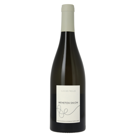 Domaine Philippe Gilbert Menetou-Salon Blanc "Clos des Treilles" 2020