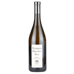 Domaine Ogereau "Bonnes Blanches" 2022