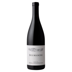 Domaine Henri & Gilles Buisson Bourgogne Rouge 2022