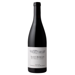 Domaine Henri & Gilles Buisson St Romain Rouge "Sous Roche Absolu" 2021