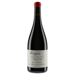 Jean Foillard Morgon "Côte du Py" 2017