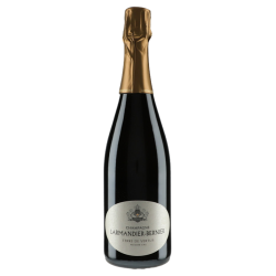 Champagne Larmandier-Bernier "Terre de Vertus" 1er Cru Non Dosé 2010