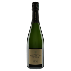 Champagne Agrapart Extra Brut Blanc de Blancs Grand Cru "Terroirs"