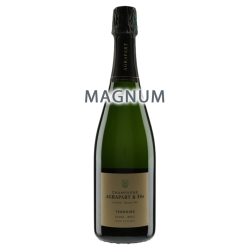 Champagne Agrapart Extra Brut Blanc de Blancs Grand Cru "Terroirs" MAGNUM