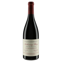 Egly-Ouriet Coteaux Champenois Ambonnay 2020