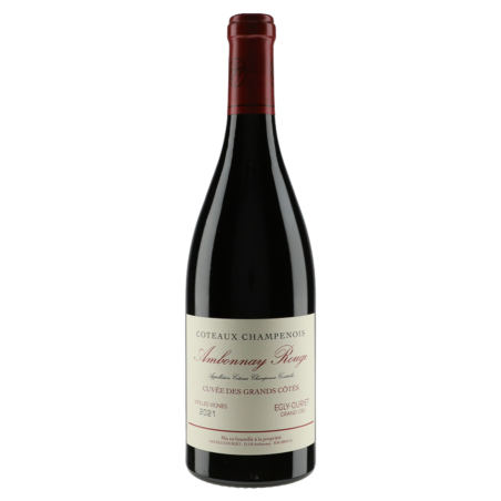 Egly-Ouriet Coteaux Champenois Ambonnay 2020