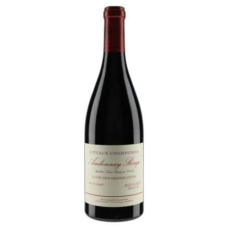 Egly-Ouriet Coteaux Champenois Ambonnay 2019