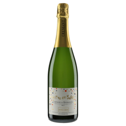 Anne Gros Crémant de Bourgogne Brut "La Fun en Bulles"