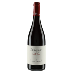 Antoine Lienhardt Bourgogne Pinot Noir 2021