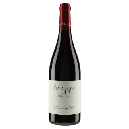 Antoine Lienhardt Bourgogne Pinot Noir 2021