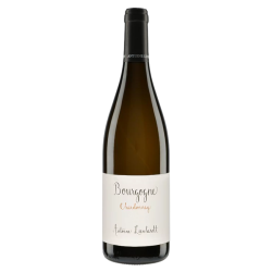 Domaine Antoine Lienhardt Bourgogne Chardonnay 2021