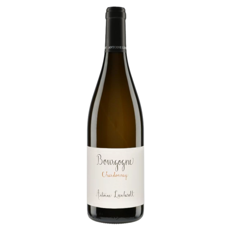 Domaine Antoine Lienhardt Bourgogne Chardonnay 2021