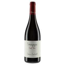 Antoine Lienhardt Bourgogne Pinot Noir 2022