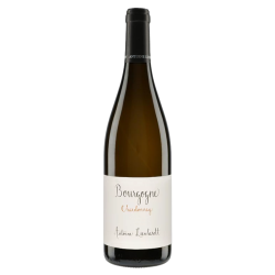 Antoine Lienhardt Bourgogne Chardonnay 2020