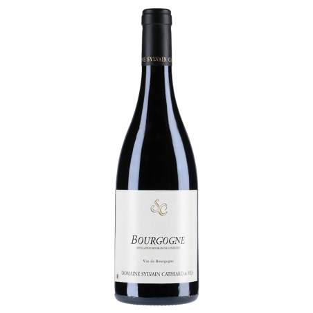 Sylvain Cathiard & Fils Bourgogne 2021