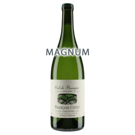 François Cotat Sancerre Les Culs de Beaujeu 2020 Magnum