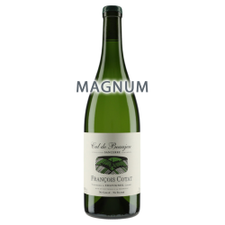 François Cotat Sancerre Les Culs de Beaujeu 2013 Magnum