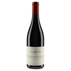 Domaine Gérard Julien & Fils Côte de Nuits Villages 2022