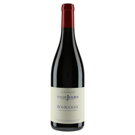 Domaine Gérard Julien & Fils Bourgogne Rouge 2022