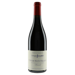 Domaine Gérard Julien & Fils Côte de Nuits Villages "Armand" 2022