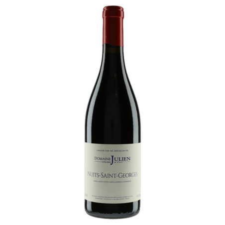 Domaine Gérard Julien & Fils Nuits-Saint-Georges 2019