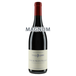 Domaine Gérard Julien & Fils Côte de Nuits Villages 2020 Magnum