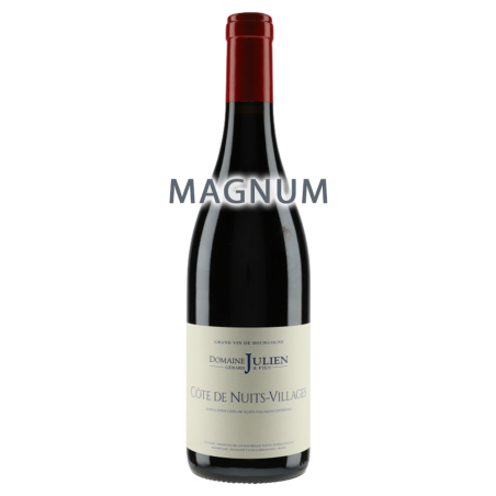 Domaine Gérard Julien & Fils Côte de Nuits Villages 2020 Magnum