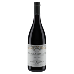Domaine Michel Bouzereau Bourgogne Pinot Noir 2022
