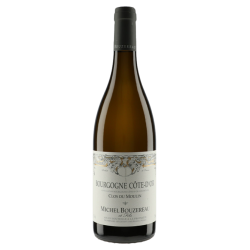 Domaine Michel Bouzereau Bourgogne "Clos du Moulin" 2022